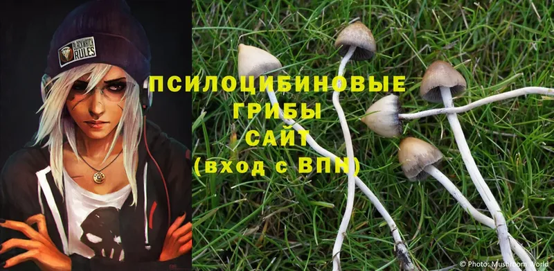 Галлюциногенные грибы Magic Shrooms  купить   ОМГ ОМГ как войти  Алексин 